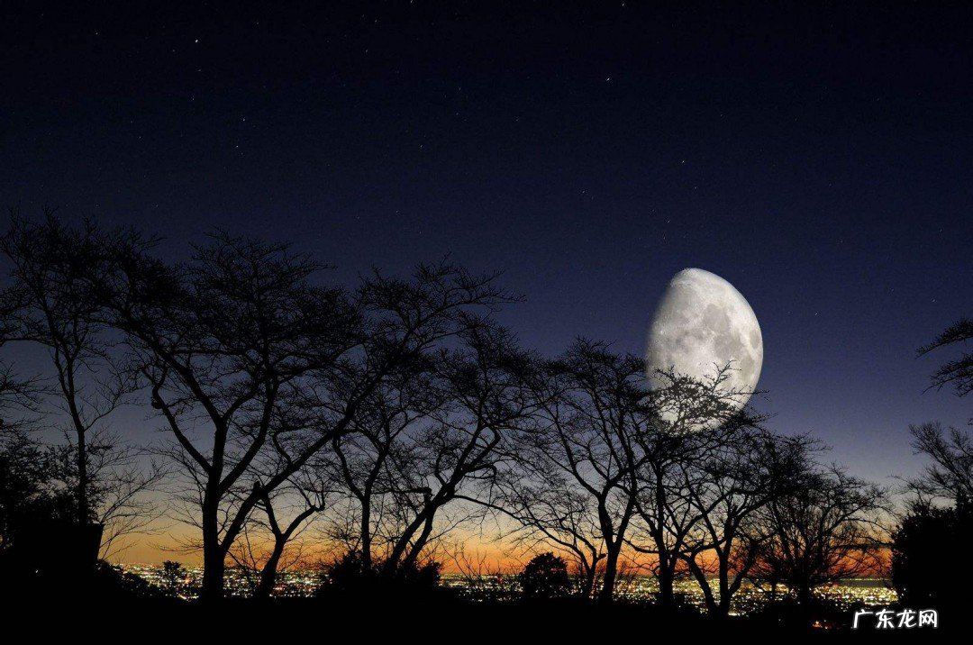 适合月亮发的句子