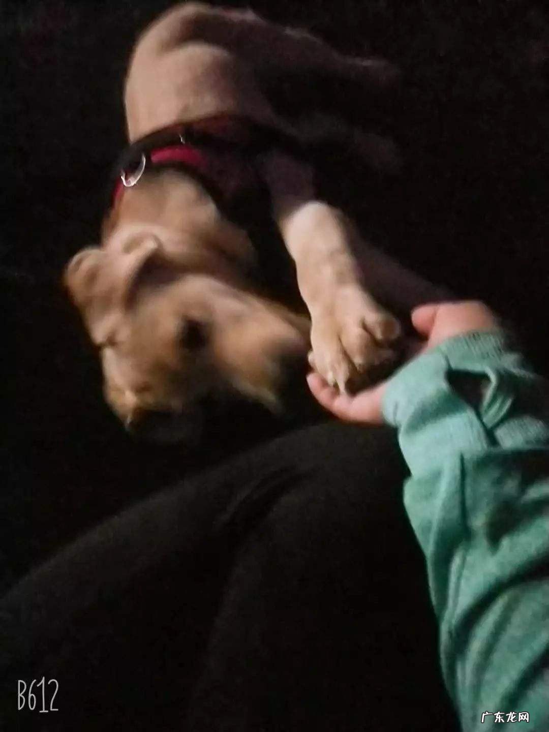 闷骚有内涵的网名