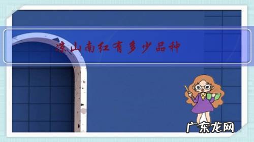 四川大凉山南红价格 凉山南红有多少品种?
