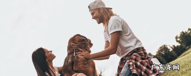 国家安全日是几月几日