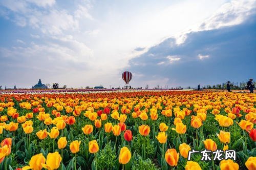 春暖明媚的意思是什么