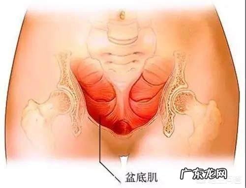 生宝宝后，漏尿是暂时现象还是长期现象