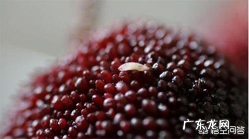 用盐水泡杨梅真的很多虫子出来吗?
