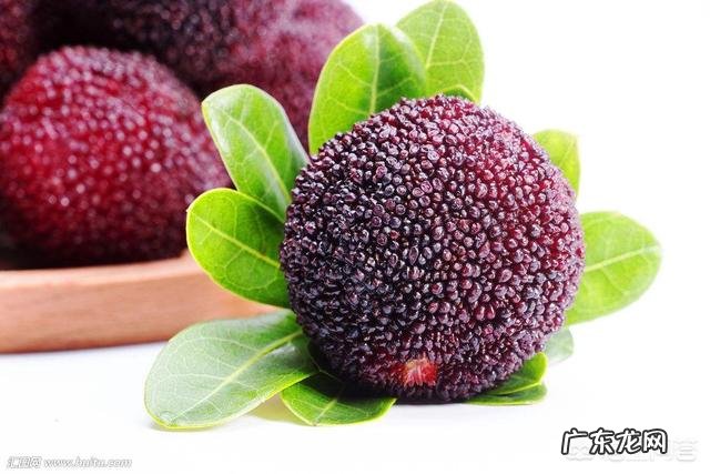 用盐水泡杨梅真的很多虫子出来吗？