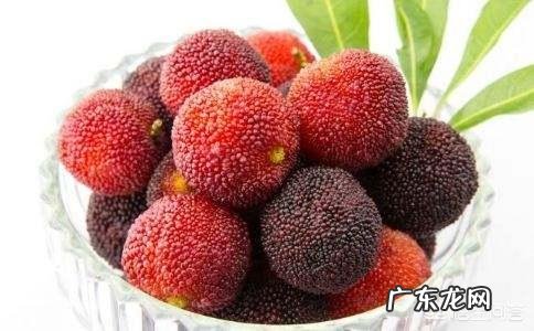 用盐水泡杨梅真的很多虫子出来吗？