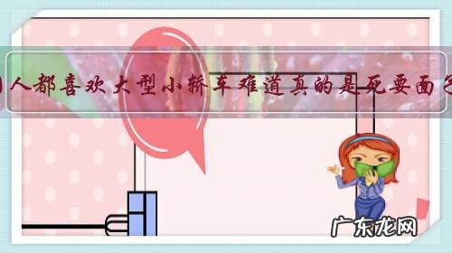 为什么中国人都喜欢大型小轿车难道真的是死要面子活受罪？