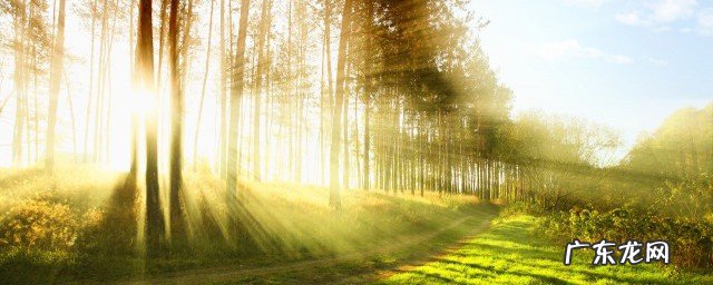 世界很温暖长句子