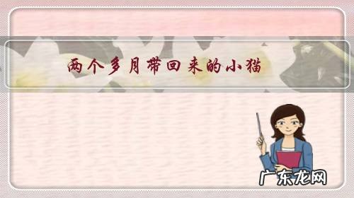 两个多月带回来的小猫，不喜欢被摸被抱，晚上睡觉也不要一起睡，喜欢抱着手咬人，用脚踹人，怎么才能养熟？