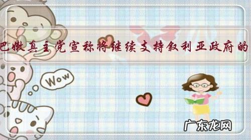 如何看待黎巴嫩真主党宣称将继续支持叙利亚政府的反恐行动?