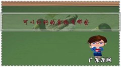 什么补钙的食物 可以补钙的食物有哪些？