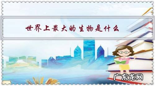 世界上最大的生物是什么的短视频 世界上最大的生物是什么?
