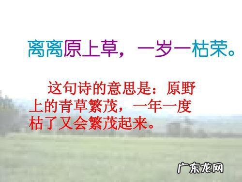 赋得古原草送别古诗的意思