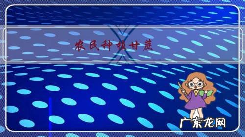 农民种植甘蔗,什么样的土质最适合种植?