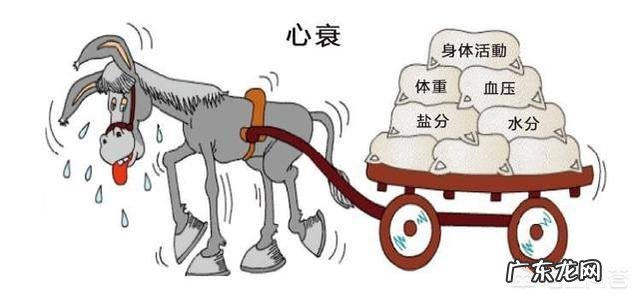 心衰患者,血压控制在多少合适