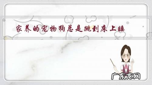 家养的宠物狗总是跳到床上睡，该怎么办？