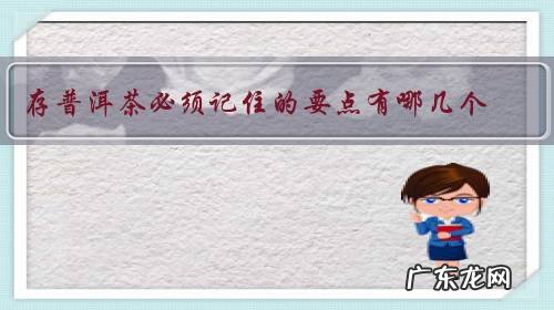 存普洱茶必须记住的要点有哪几个？