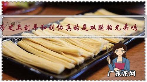 历史上刘平和刘协真的是双胞胎兄弟吗?