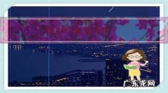 就个人发展而言，算法和编程语言哪个更重要？