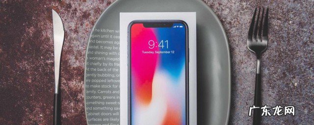 苹果x进水黑屏有声音不亮屏