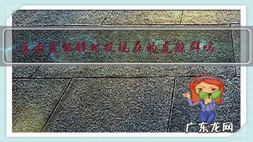 虎鲸与巨齿鲨 巨齿鲨能够对抗现在的虎鲸群吗?