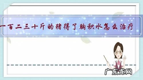 一百二三十斤的猪得了胸积水怎么治疗?