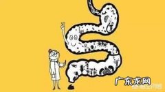 成年人用哪个牌子益生菌好