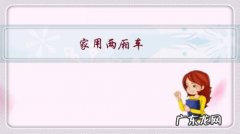 家用两厢车，有哪些好的合资车值得推荐？