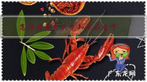 保持清醒的自我认知 怎样保持自我觉知活在当下?