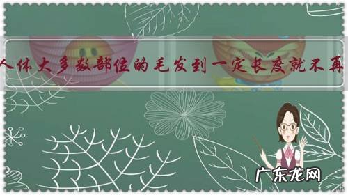 为什么人体大多数部位的毛发到一定长度就不再生长,而头发会一直生长?