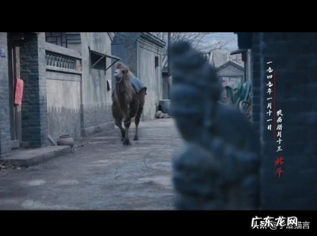 电视剧《新世界》,杀死“女主角”周冬雨饰演的朵儿的小红袄是谁