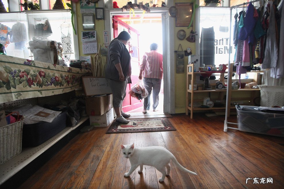 飞利浦99c使用教程有哪些分享