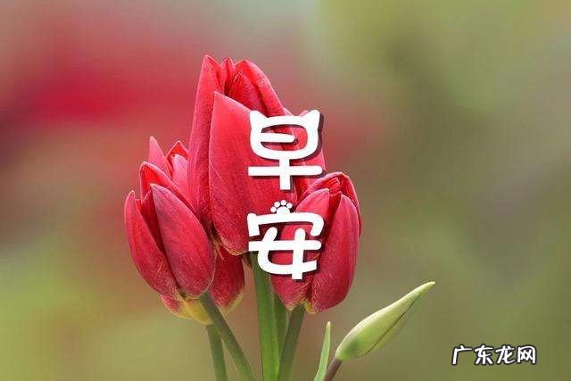 客户发朋友圈早安心语