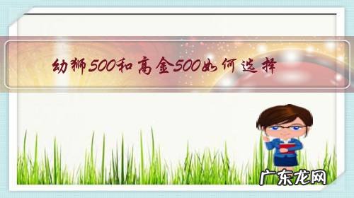 幼狮500和高金500如何选择?