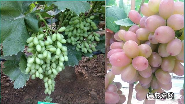 心脑血管疾病会受气候因素的影响吗