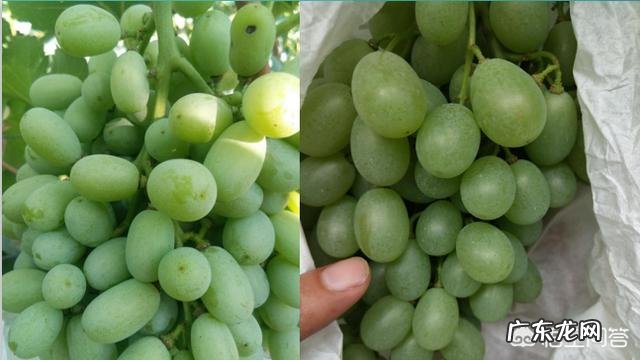 心脑血管疾病会受气候因素的影响吗