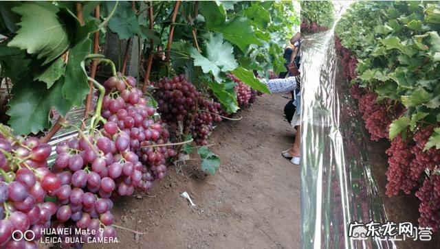 心脑血管疾病会受气候因素的影响吗