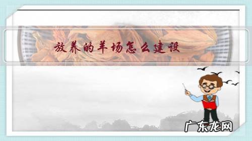 羊场如何建设 放养的羊场怎么建设?