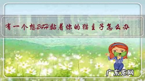 有一个想24H黏着你的猫主子怎么办?