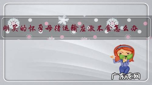 刚买的怀孕母猪运输应激不食怎么办？