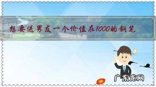 想要送男友一个价位在1000的钢笔，性价比高一点的，求推荐？