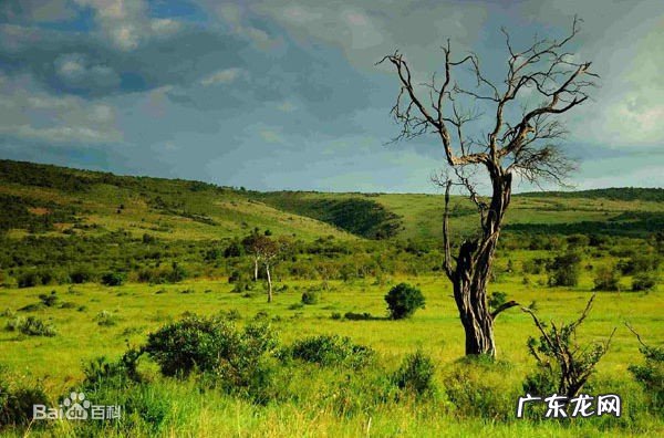 热带草原气候成因