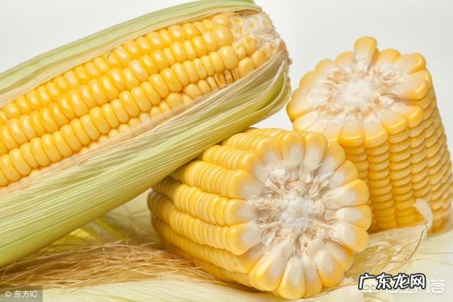 瘦了三十斤,停在一个体重上一斤不掉已经一个半月了。咋办呢