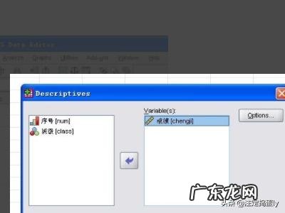 SPSS如何计算方差、标准差