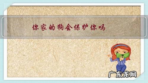 哪些狗狗会保护主人 你家的狗会保护你吗?