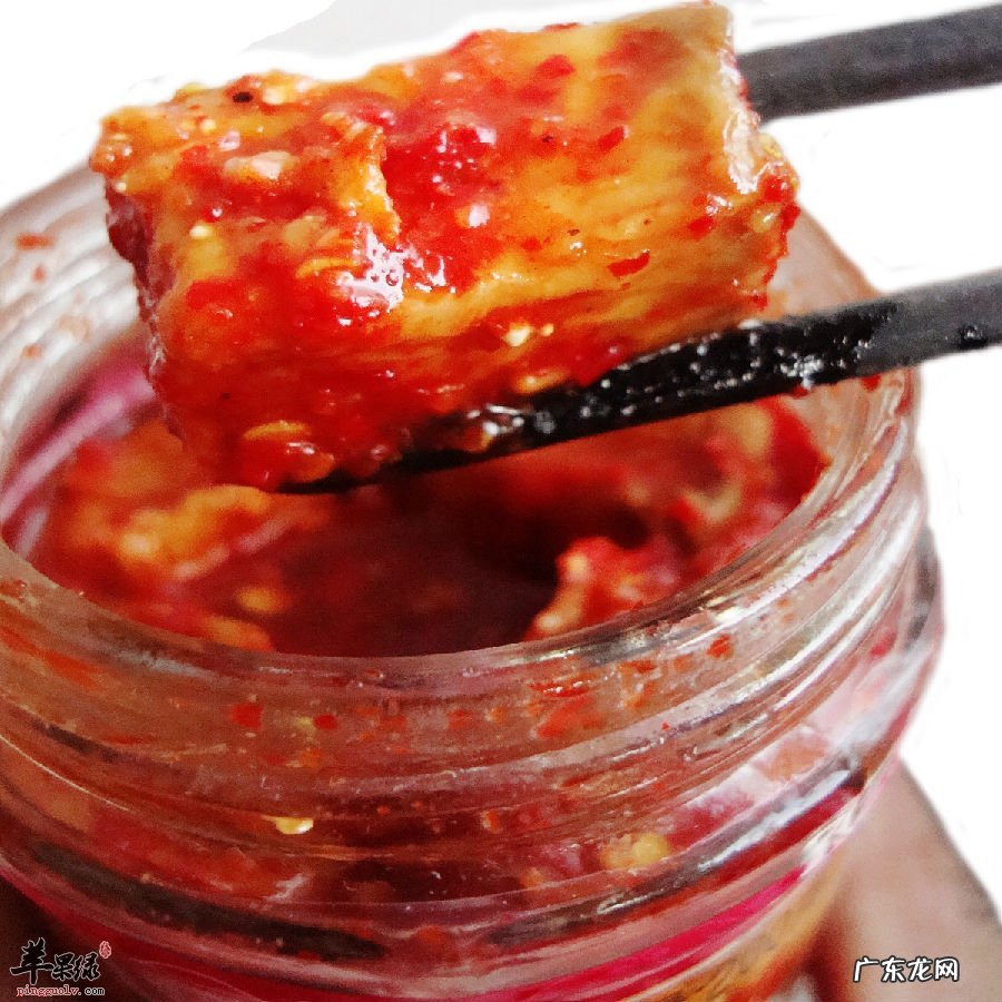 生物选修一腐乳的制作知识点