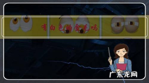 有白色的金毛吗？是不是卖家骗我？