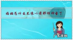 婚姻是神圣的,不是将就过日子 婚姻为什么不像以前那样神圣了？
