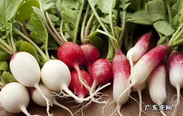 10月最畅销的生鲜是啥这些爆单的生鲜产品必须知道