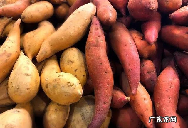 10月最畅销的生鲜是啥这些爆单的生鲜产品必须知道