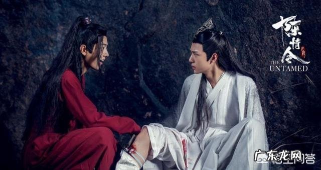 能否客观分析一下王一博肖战今后的发展